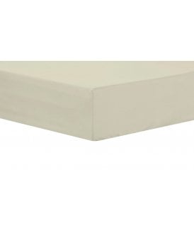 Basics Fitted Sheet in Cream